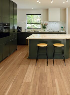 Warm Spotted Gum