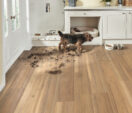 Weathered Spotted Gum
