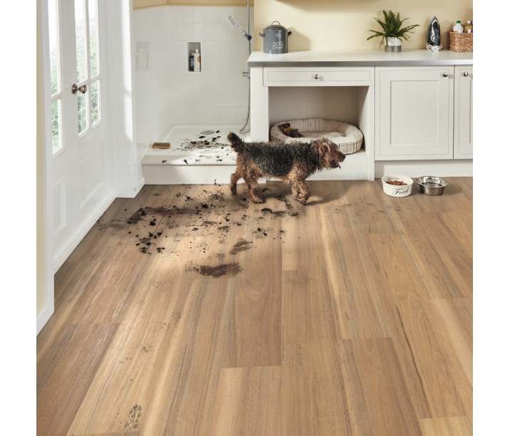 Weathered Spotted Gum